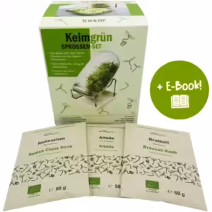 Sprossenzucht 1