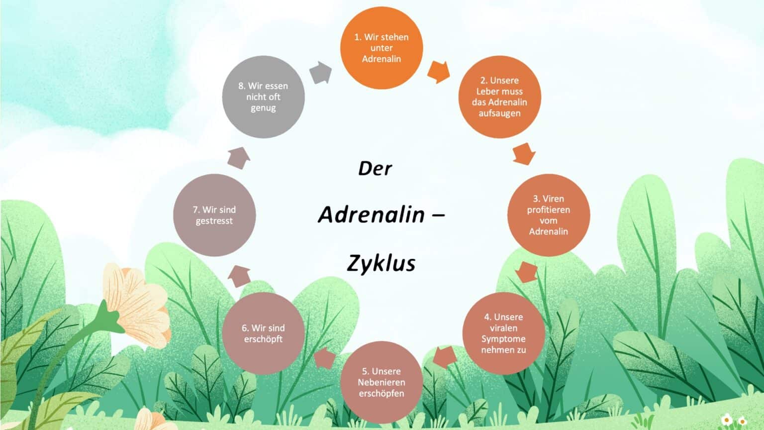 Adrenalin Archive Anthony William Medical Medium