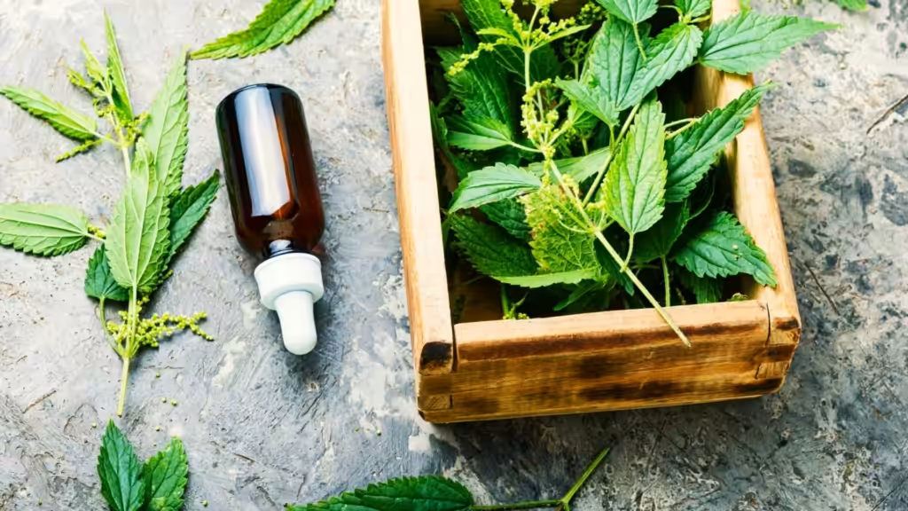 Making your own tinctures with nettles