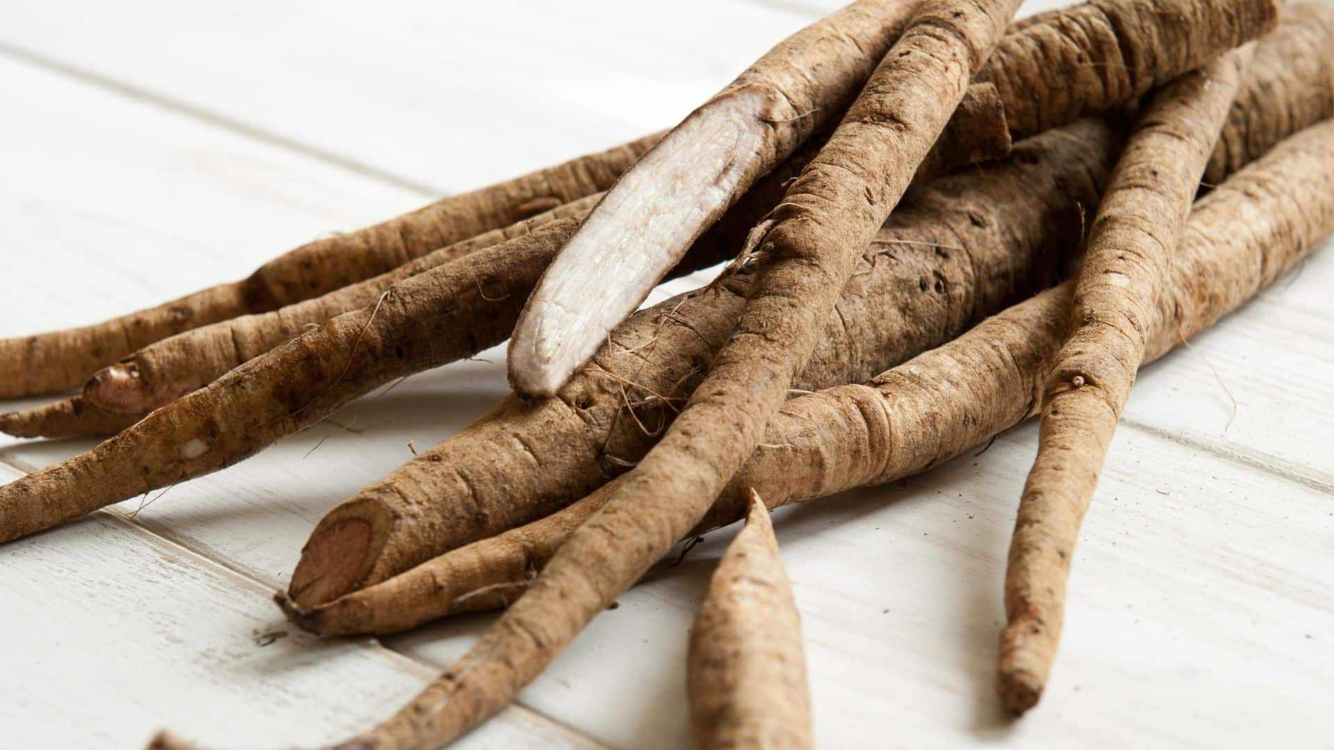 Effects and uses of burdock root