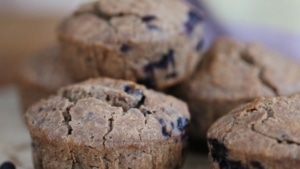 5 Wilde Blaubeer-Muffins