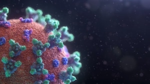 Die Wahrheit über Herpesviren