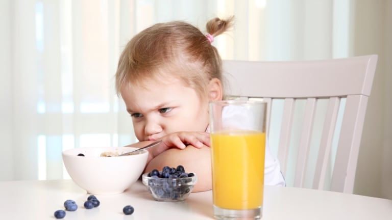 Picky Eater sitting in front of bowl of blueberries and orange juice